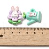 Cartoon Rabbit Theme Opaque Resin Decoden Cabochons X-RESI-R443-04-3