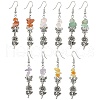 Natural Mixed Stone Chip Dangle Earrings Set for Women EJEW-JE06248-2