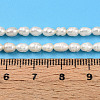 Natural Cultured Freshwater Pearl Beads Strands PEAR-N012-03S-6