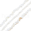 3 Strands 2 Styles Natural Freshwater Shell Beads Strands SHEL-HS0001-10-1