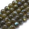 Natural Labradorite Beads Strands G-I253-01-1