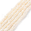 Natural Cultured Freshwater Pearl Beads Strands PEAR-I007-02O-02-2