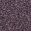 MIYUKI Delica Beads SEED-J020-DB0462-1