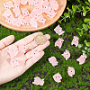 SUNNYCLUE 48Pcs 6 Styles Luminous Translucent Resin Pendants RESI-SC0003-24-3