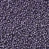 MIYUKI Delica Beads X-SEED-J020-DB1174-2