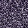 MIYUKI Delica Beads X-SEED-J020-DB1174-2