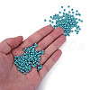 6/0 Czech Opaque Glass Seed Beads SEED-N004-003D-16-5