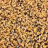 6/0 Inside Colours Transparent Glass Seed Beads X1-SEED-T007-07F-2