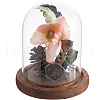 SUNNYCLUE 1Pc Glass Dome Cover AJEW-SC0002-60A-04-1