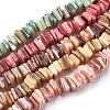 Freshwater Shell Beads Strands BSHE-O017-10-1