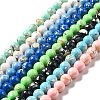 Synthetic Turquoise and Sea Shell Assembled Beads Strands G-D482-01C-1