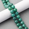 Natural Green Onyx Agate(Dyed & Heated) Beads Strands G-K393-A03-10mm-1