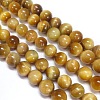 Natural Tiger Eye Beads Strands G-G544-8mm-01-1