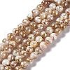 Drawbench Style Natural Freshwater Shell Beads Strands X-SHEL-F003-10B-1