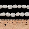 Natural Jade Beads Strands G-E614-B01-08-4