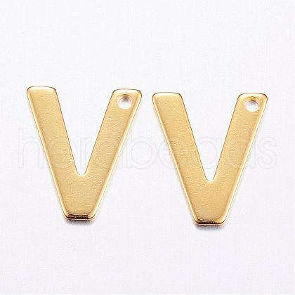 304 Stainless Steel Charms STAS-P141-V-1