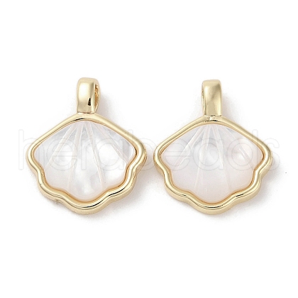 Brass Pave Shell Charms KK-G491-38G-1