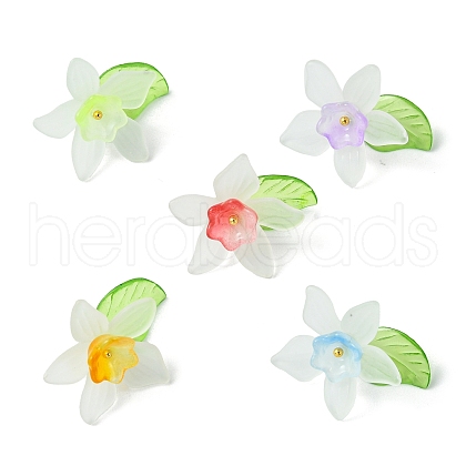5 Pcs 5 Colors Acrylic with Glass Pendants PALLOY-TA00149-1