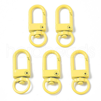 Spray Painted Eco-Friendly Alloy Swivel Snap Hooks Clasps PALLOY-T080-02L-NR-1