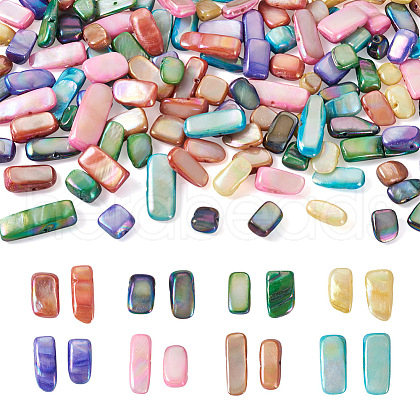 Craftdady 160Pcs 8 Colors Natural Freshwater Shell Beads Strands SHEL-CD0001-06-1