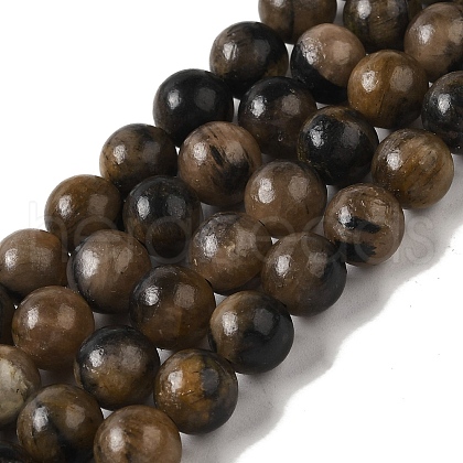 Natural Chiastolite Beads Strands G-Q161-A03-03-1