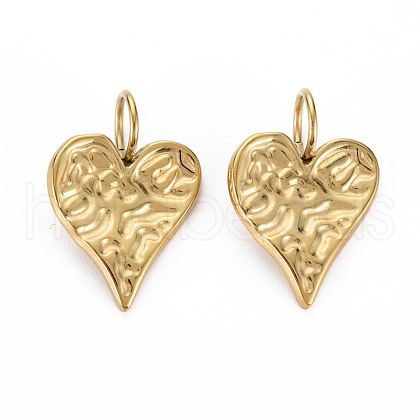 304 Stainless Steel Pendants STAS-N097-118LG-NR-1