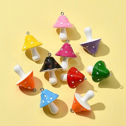 10Pcs Resin Pendants RESI-FS0001-62-1