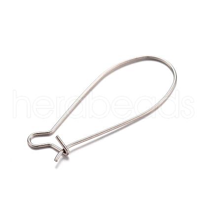 304 Stainless Steel Hoop Earrings STAS-D429-64-1