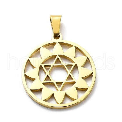 304 Stainless Steel Pendants STAS-D036-10G-1
