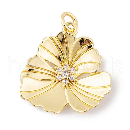 Rack Plating Brass Micro Pave Cubic Zirconia Pendants KK-K367-21G-01-1