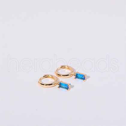 Brass Micro Pave Cubic Zirconia Hoop Earrings WGF8540-12-1