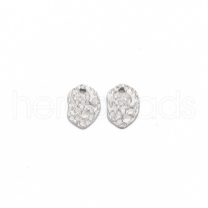 Non-Tarnish 304 Stainless Steel Charms STAS-N097-193P-1