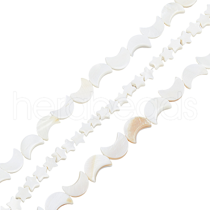 3 Strands 2 Styles Natural Freshwater Shell Beads Strands SHEL-HS0001-10-1