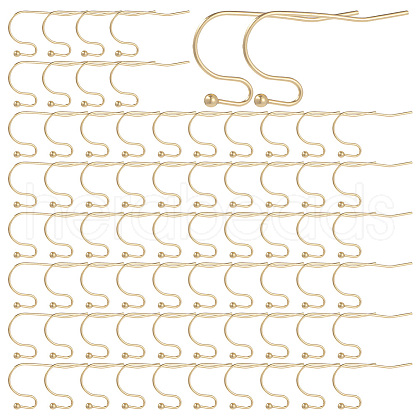 SUNNYCLUE 160Pcs 316 Surgical Stainless Steel Earring Hooks STAS-SC0005-36-1