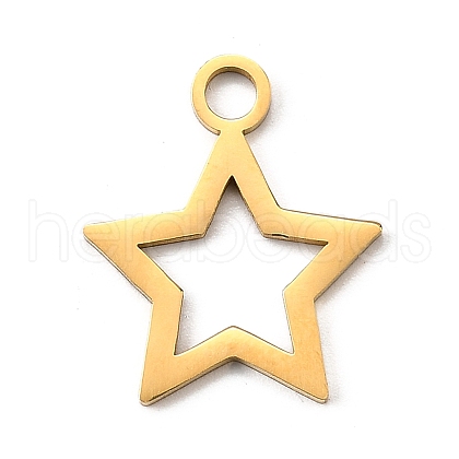 304 Stainless Steel Pendants STAS-M117-01C-G-1