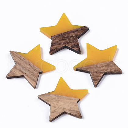 Transparent Resin & Wood Pendants RESI-T023-23-B02-1