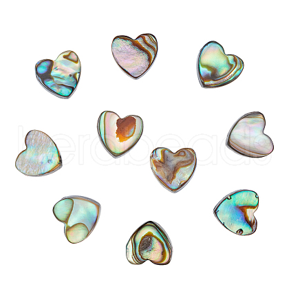 FIBLOOM 10Pcs Natural Abalone Shell/Paua Shell Beads SSHEL-FI0001-05-1