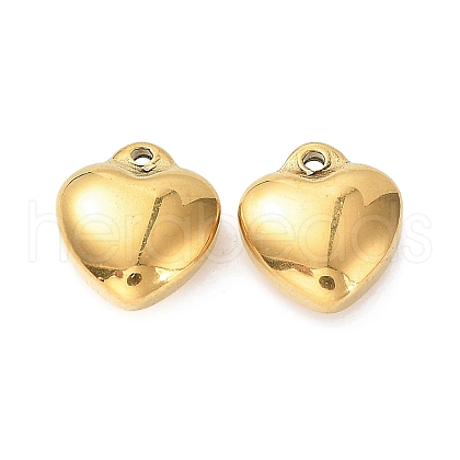 Ion Plating(IP) 304 Stainless Steel Charms STAS-K002-21A-G-1