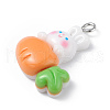 Opaque Resin Pendants RESI-D064-02P-09-2