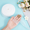 Polyester Organza Ribbons SRIB-WH20020-003A-03-3