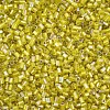 Glass Bugle Beads SEED-S032-09A-636-3