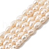 Natural Cultured Freshwater Pearl Beads Strands PEAR-I007-01P-03B-2