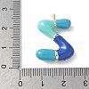 Brass Enamel Pendants KK-E093-03G-Z-01-3