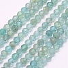 Natural Apatite Beads Strands G-I156-05-2mm-1