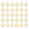   Zinc Alloy Pendants FIND-PH0007-58-1
