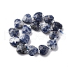 Natural Blue Spot Jasper Beads Strands G-P570-E19-01-3
