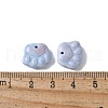 Natural Rainbow Alashan Agate Charms G-G194-01D-3