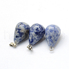 Teardrop Natural Blue Spot Jasper Pendants G-Q435-20-2
