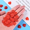 Transparent Acrylic Beads MACR-S373-106-D01-5