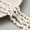 Natural Cultured Freshwater Pearl Beads Strands PEAR-A006-23A-1